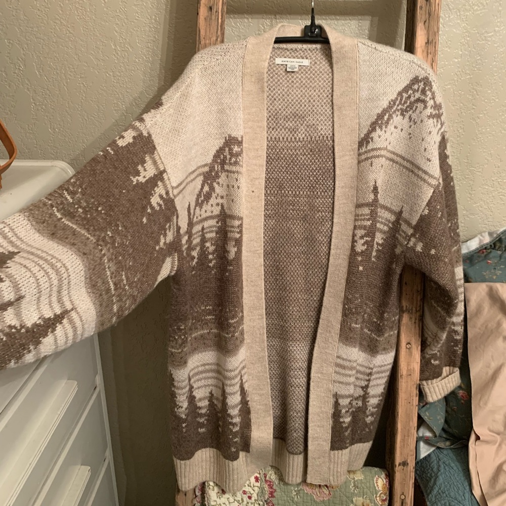 American Eagle Oversized Wilderness Cardigan